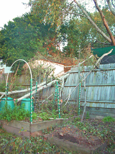 Fence damaged by neighbours falling tree